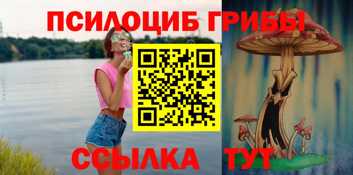 Псилоцибиновые грибы мицелий  Вход с VPN  Иваново  Галлюциногенные грибы мицелий 