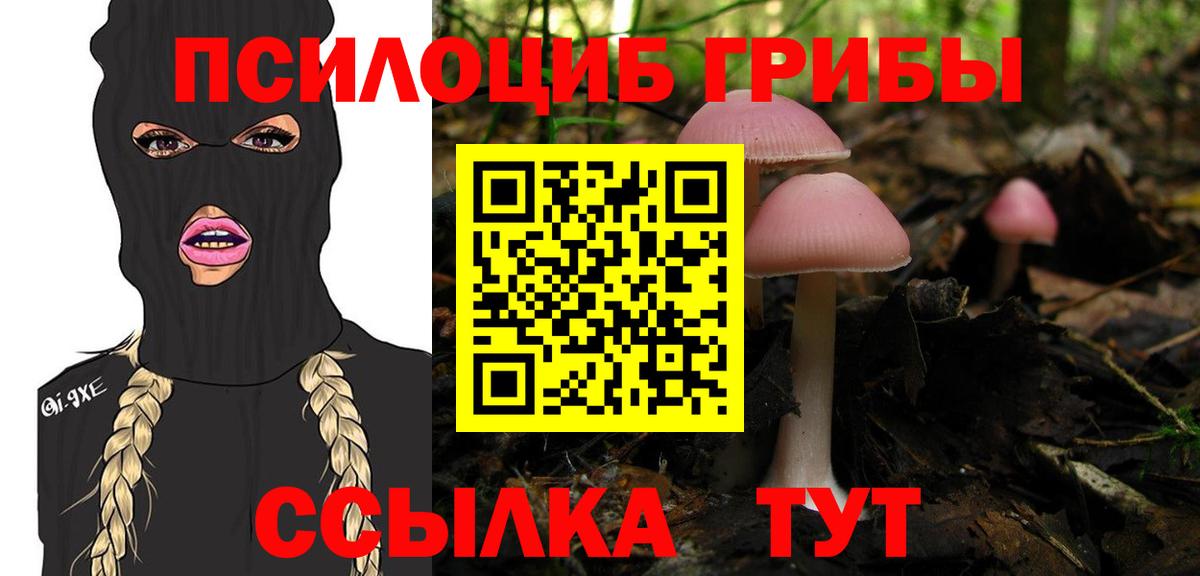 Галлюциногенные грибы Psilocybe Иваново